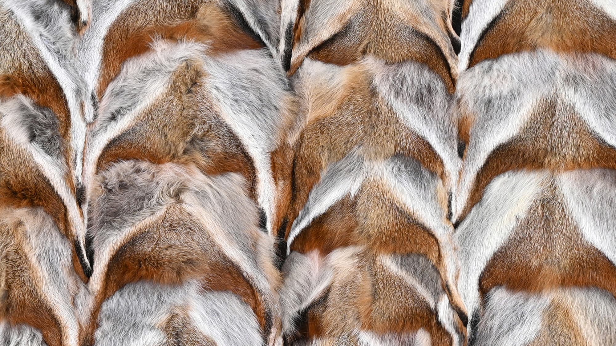 Texture Plate - Wolf Fur